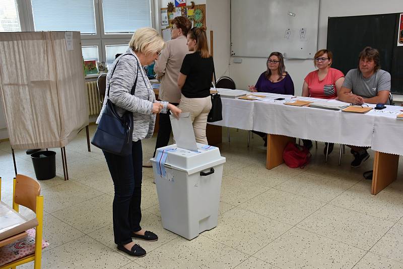 Volby do Evropského parlamentu ve Slaném.