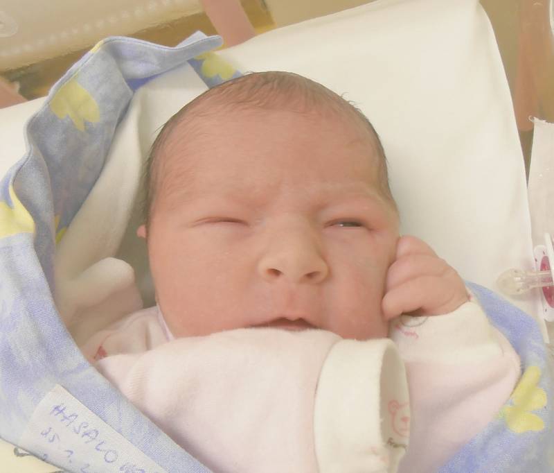 Eliška Hasalová, Hospozín. Narodila se 25. ledna 2017. Váha 3,5 kg, míra 50 cm. Rodiče jsou Nikola a Lukáš Hasalovi (porodnice Slaný). 