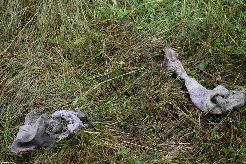 Policisté našli na pozemku nedaleko Kladna uhynulé šelmy.
