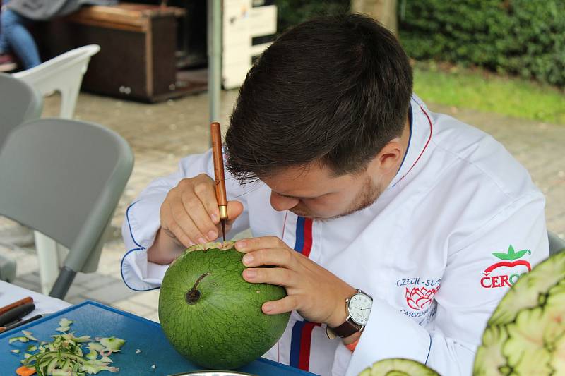 Z letního festivalu všeho dobrého 2019.