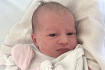 VIKTORIE VEJVODOVÁ, UNHOŠŤ. Narodila se 9. července 2019. Po porodu vážila 3,17 kg a měřila 48 cm. Rodiče jsou Kateřina Vejvodová a Martin Vejvoda. Sourozenci Samuel a Natálie. (porodnice Kladno)