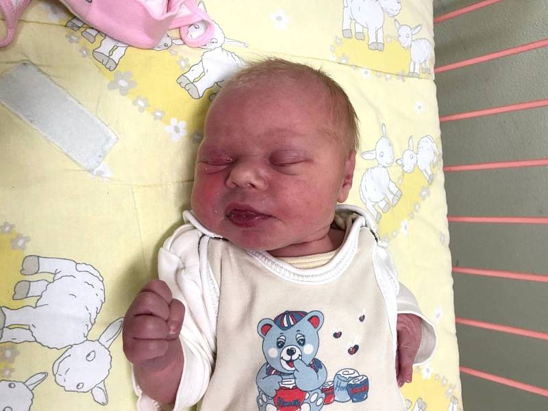 MALVÍNA KŘENKOVÁ, KLADNO. Narodila se 25. prosince 2018. Po porodu vážila 2,95 kg a měřila 47 cm. Rodiče jsou Johana Hergetová a Lukáš Křenek. (porodnice Slaný)