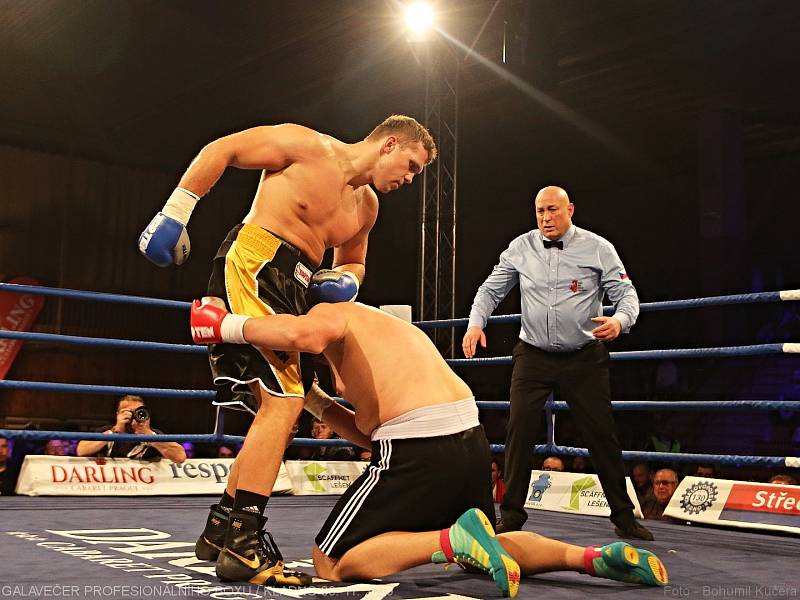 Tomáš Šálek vs Sebastian Hladun // Galavečer profesionálního boxu BOXING LIVE / Kladno 30. 11. 2019