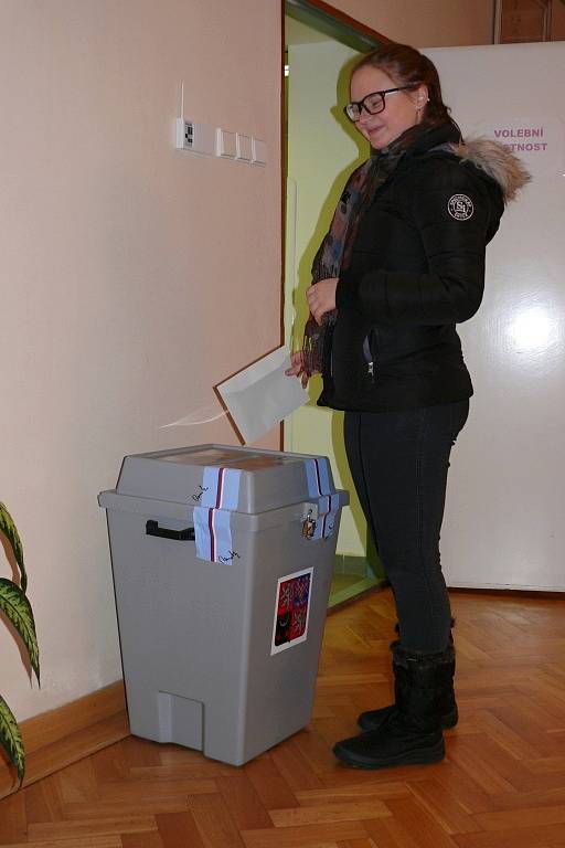 Prezidentské volby ve Družci