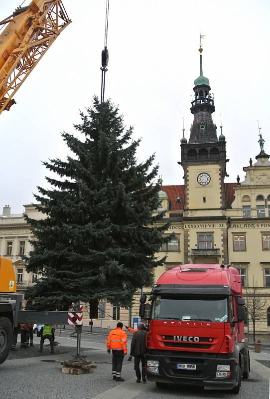 Kácení a stavba vánočního stromu v Kladně.