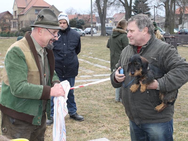 Okresní myslivecká výstava v Žilině 2013 spojená s jarním svodem psů