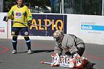 V turnaje hokejbalových veteránů MASTERS 2016 se utkaly týmy Kladna, Mostu, Jihlavy, Žiliny a Českých Budějovic.