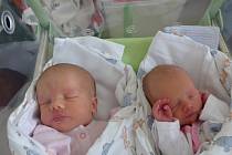 Silvie a Sofie Sixtovy se narodily 5. února 2021 v kolínské porodnici. Silvie vážila 3300 g, měřila 50 cm. Sofie měla míry 2295 g a 42 cm. V Ovčárech se z nich těší sourozenci Štěpán (18), Vašek (15) a rodiče Jana a Miroslav.