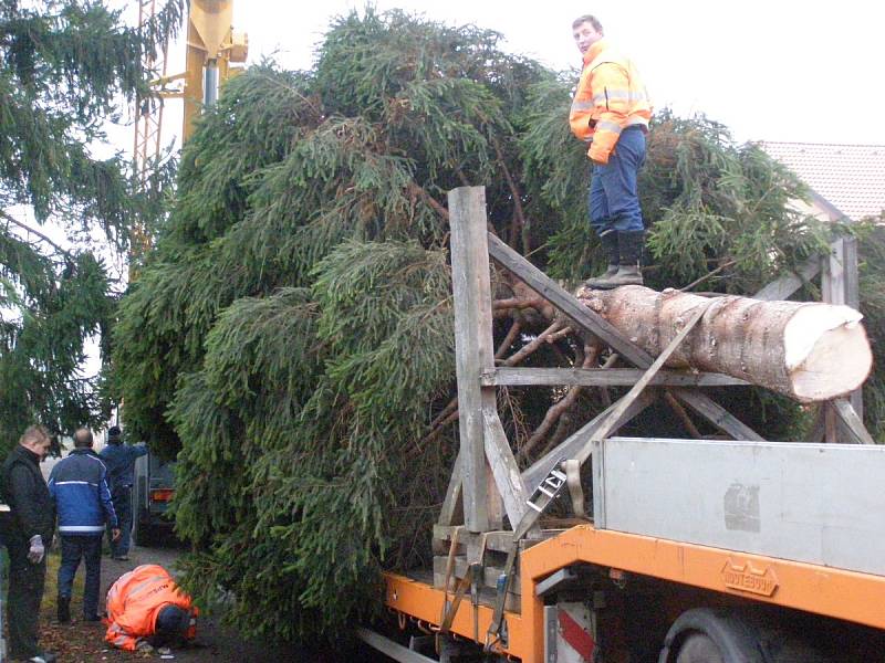Vánoční strom pro Kladno byl přivezen v úterý ráno.