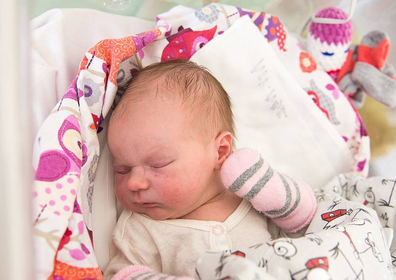 Eliška Hubálková se narodila v nymburské porodnici 19. ledna 2021 v 16:10 hodin s váhou 3560 g a mírou 47 cm. V Nymburce bude vyrůstat v basketbalové rodině s maminkou Janou, tatínkem Michalem a sestřičkou Lucií (4 roky).