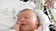 ELIŠKA ŠEBKOVÁ, STOCHOV. Narodila se 8. prosince 2017. Po porodu vážila 3,85 kg a měřila 52 cm. Rodiče jsou Lucie Hnízdová a Vláďa Šebek. (porodnice Kladno)
