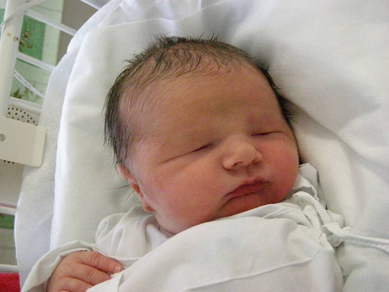 Alexandr Vlk, Kladno. Narodil se 17. prosince 2012, váha 4,80kg, míra 52cm. Rodiče jsou Jana Šrámková a Miroslav Vlk (porodnice Kladno).