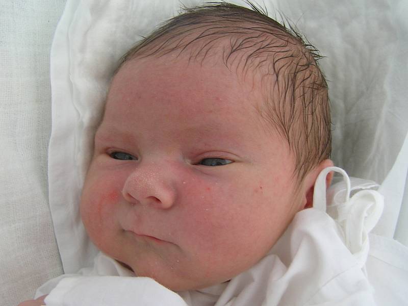 Michal Malík, Letce,5. 7.  2008, váha 3,70 kg, míra 52 cm, rodiče Pavlína Šottníková a Jiří Malík (porodnice Kladno).