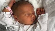EMILY SIRKOVÁ, KLADNO. Narodila se 16. ledna 2019. Po porodu vážila 4,03 kg. Rodiče jsou Andrea Sirková a Jan Sirk. (porodnice Kladno)