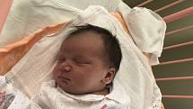 Aneta Krobová, Slaný. Narodila se 15. června 2019. Po porodu vážila 3,87 kg a měřila 51 cm. Rodiče jsou Aneta Kellerová a Daniel Krob. (porodnice Slaný)