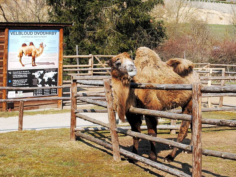 Zoopark Zájezd na Kladensku.