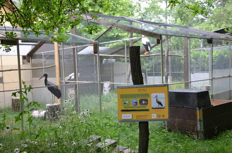 Žáci ze Základní školy v Jiráskově ulici v Kladně-Švermově na exkurzi v Avesu.