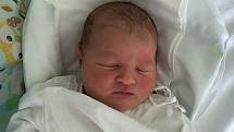 ELLA STURMOVÁ, BRANDÝSEK. Narodila se 18. ledna 2019. Po porodu vážila 3,97 kg a měřila 50 cm. Rodiče jsou Eliška Fingerhutová a Quido Šturm. (porodnice Kladno)