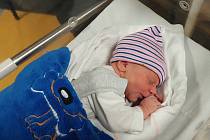 Alexander Bulava se narodil jako první letošní miminko ve slánské porodnici 1. ledna v 12:38 hodin.
