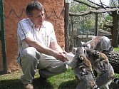 Ředitel zooparku při krmení lemurů, kteří mají nejraděli hroznové víno, banány a  jablka. 