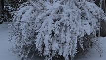 Únorový sníh na kladenském venkově.