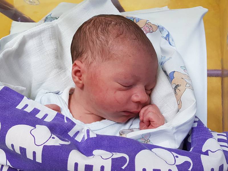 LUKÁŠ SWITALSKI, VELVARY. Narodil se 4. března 2019. Po porodu vážil 3,10 kg a měřil 51 cm. Maminka je Helena Switalská. (porodnice Slaný)