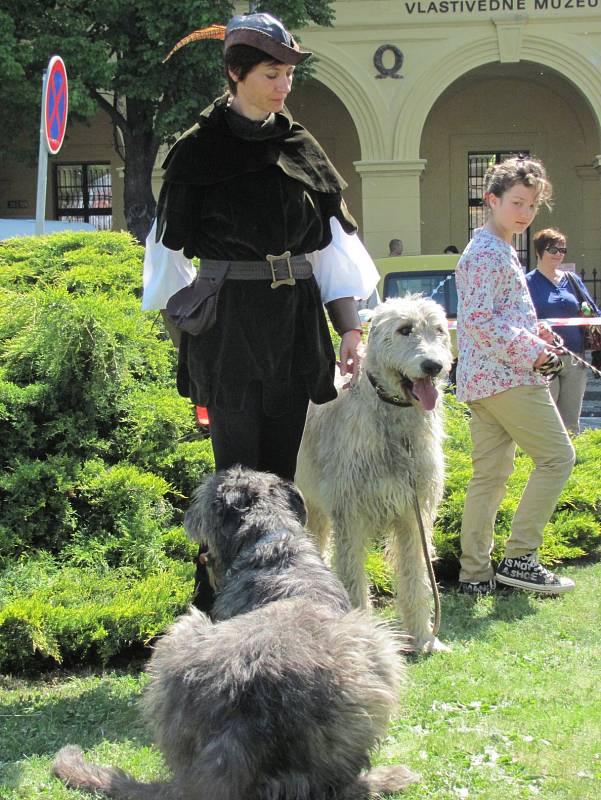 Městské slavnosti ve Slaném 2012.