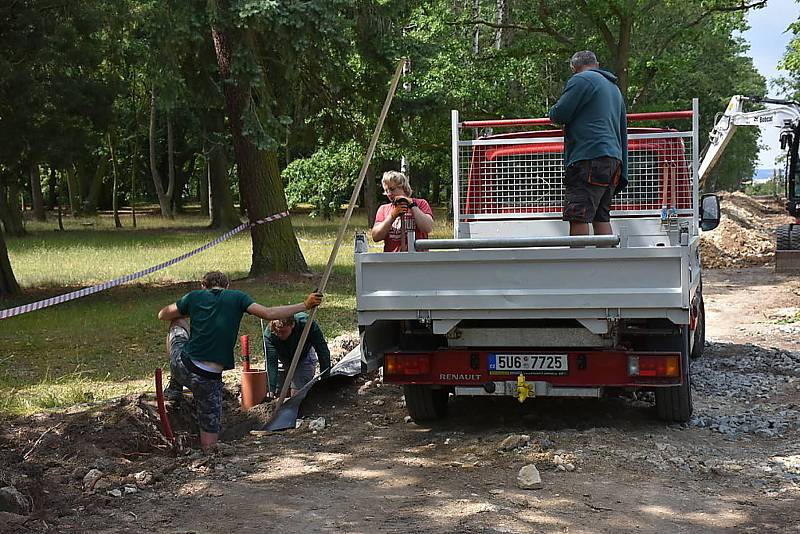 Práce v topolové aleji ve Slaném úspěšně pokračují.