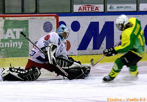 Kladno - Vsetín 8:3, semifinále play-off hokejové ligy žen. 17.1.2009