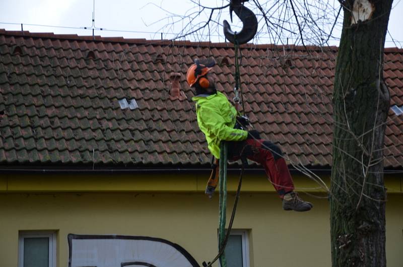 Kácení topolů u hřiště a internátu v Kladně.