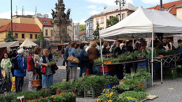 Produkty českých pěstitelů si dnes zákazníci mohou zakoupit na trzích na náměstí Starosty Pavla v Kladně.