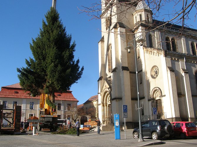Na náměstí Starosty Pavla v Kladně dorazil strom v pondělí dopoledne.