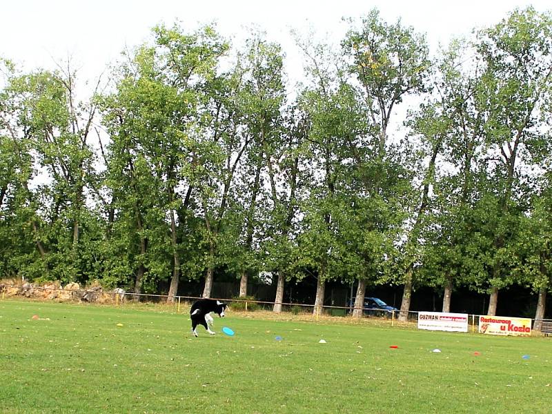 Den sportu a zábavy na fotbalovém hřišti v Unhošti.