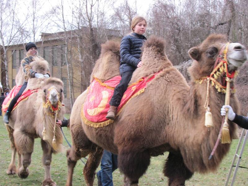 V Hornickém skanzenu Mayrau se uskutečnil masopust. 