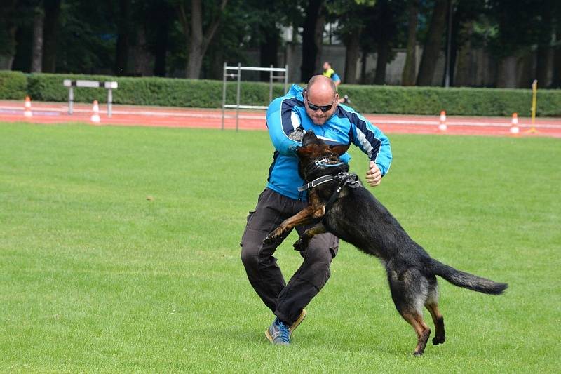 Přes bariéry s policií.