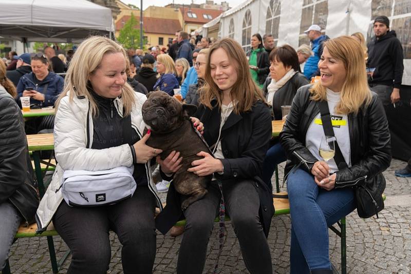 Dvoudenní hudební festival v Kladně.