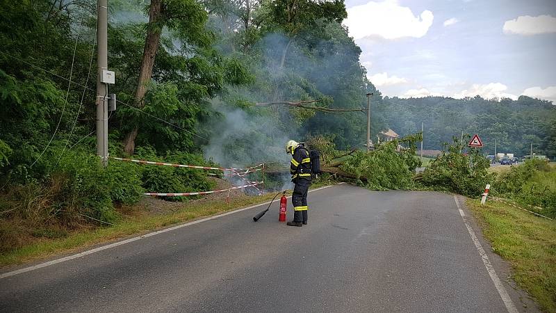 Strom při pádu poškodil elektrické vedení, zároveň zablokoval silnici číslo 101.