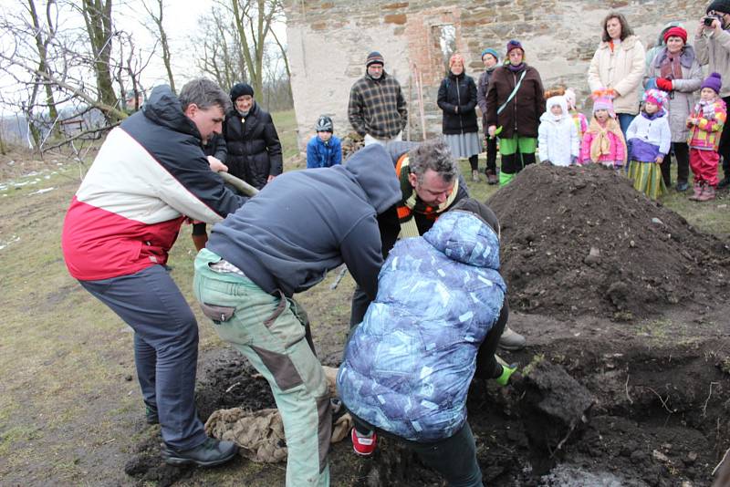 Jeden z 85 stromů pro Olgu Havlovou byl zasazen na Budči u Zákolan.