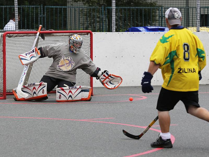 V turnaje hokejbalových veteránů MASTERS 2016 se utkaly týmy Kladna, Mostu, Jihlavy, Žiliny a Českých Budějovic.