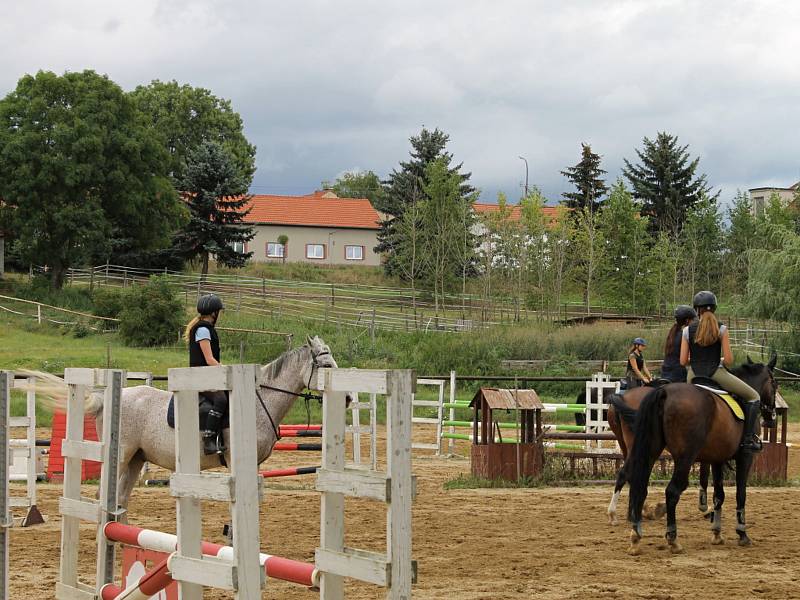 Jezdecký areál v Černuci s vnějším kolbištěm, osvětlenou jízdárnou a halou nabízí kvalitní podmínky jak pro rekreační ježdění, tak i pro přípravu skokových a drezurních koní.