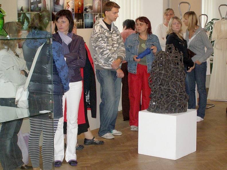 Výstava u příležitosti Celostátní absolventské přehlídky prací studentů středních uměleckých škol je od středy do září k vidění v prostorách zámecké galerie v Kladně.  
