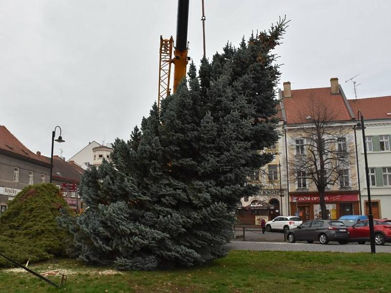 Slánský vánoční strom vyrostl V Ráji.