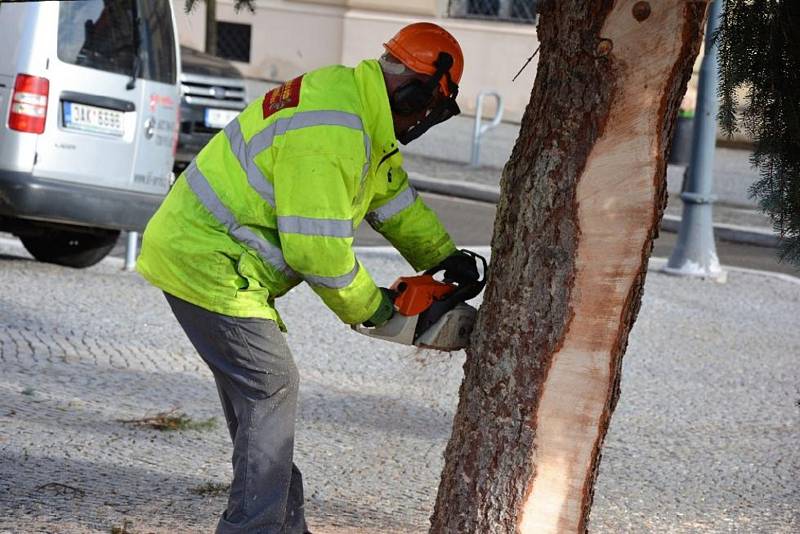 Strom splněných přání bude rozsvícen v pátek 1. prosince. Vzácným hostem bude zpěvačka Lucie Bílá.