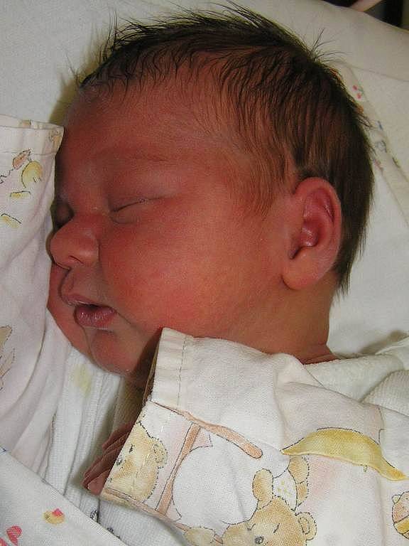 Natálie Havlínová, 11.1. 2008, Chržín, váha 3,58 kg, míra 50 cm, rodiče Petra  a Aleš Havlínovi (porodnice  Slaný).