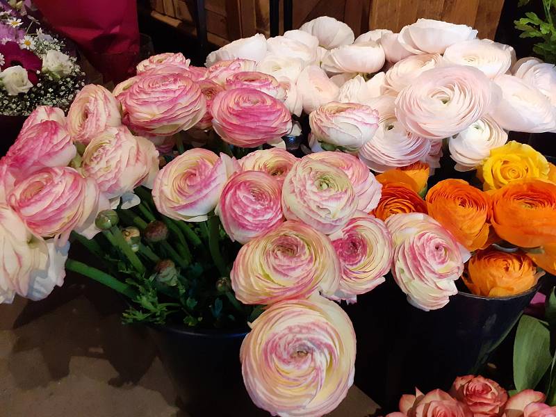 Mezinárodní den žen se i na Kladensku nesl ve znamení květin.