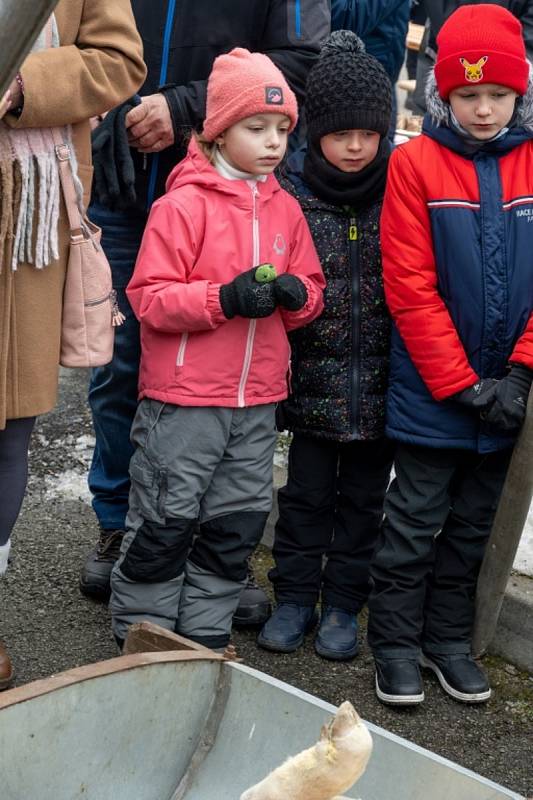 Tradiční masopust a zabijačka v Máslovicích.