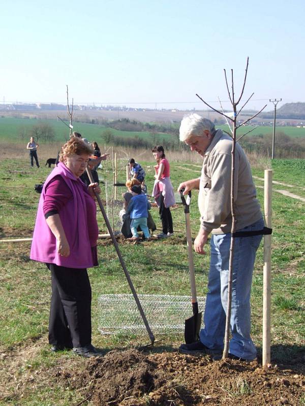 Dřetovičtí se zasloužili o vylepšení životního prostředí, zasadili totiž tři desítky ovocných stromů.