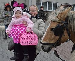 Druhý pokus o obnovení masopustního průvodu se konal v sobotu ve Stehelčevsi.