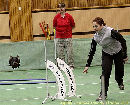 Agility - halové závody Kladno 14.-15.2.2009