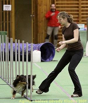 Agility - halové závody Kladno 14.-15.2.2009